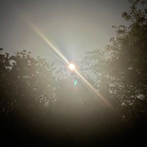 Meet your Posher, Abbi